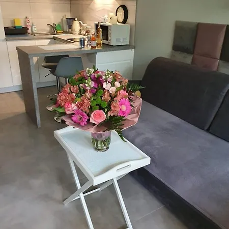 Apartment Golden Lukecin